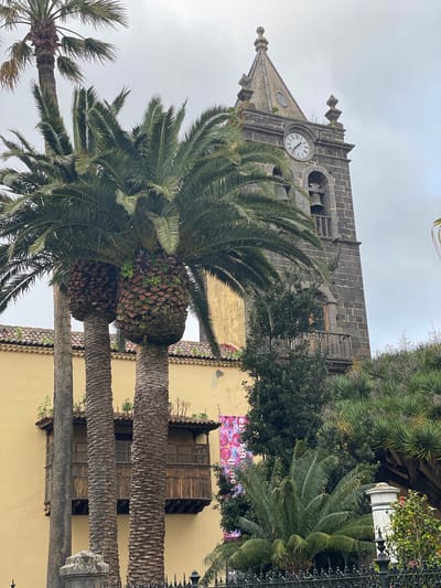 An outdoor scene captures a historic church tower and surrounding architecture, partially framed by prominent palm trees, under an overcast sky.
The central subject is a dark grey or black stone church tower, characteristic of local volcanic rock, standing tall on the left side of the frame. It features a bell section with arched openings revealing bells and a circular clock face with Roman numerals (I through XII). The clock hands point to approximately 1:55 or 1:56. The tower culminates in a pointed steeple adorned with decorative elements at its corners.
Several large palm trees dominate the foreground and midground, their thick, textured trunks and lush green fronds partially obscuring both the church and the buildings behind. Some palm tree bases show fibrous remnants of old fronds and small green plants growing on them.
Behind the palm trees and to the right of the church tower, a building with a light yellow or beige facade is visible. It features dark, intricately carved wooden balconies or window boxes, typical of traditional architecture in the region. Further green foliage, including bushes and spiky-leaved plants, adds to the natural elements of the scene. A dark, ornate metal fence or railing is partially visible on the far right.
No specific activity is taking place; the image is a static architectural and landscape shot. The time of day is indicated as late afternoon by the clock, under an uniformly bright, overcast sky. The architectural style, the dark stone, and the abundance of palm trees strongly suggest a warm-climate Spanish location, consistent with La Cuesta, Spain.
A colorful banner or poster on the yellow building is partially visible through the foliage, displaying pink and purple circular designs on a white background. Fragments of inverted text can be discerned, including "bst" and "ta," as well as "uli."