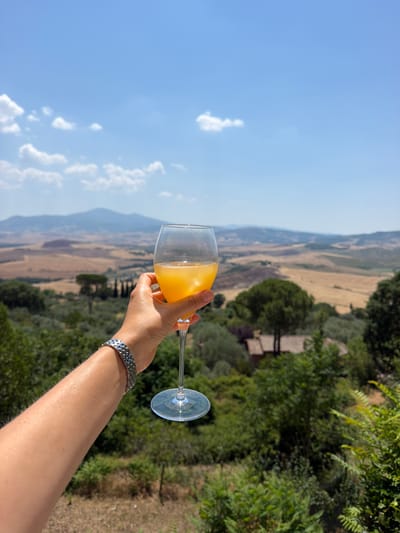 A person's arm is extended, holding a wine glass filled with an orange beverage and ice cubes. The glass is a stemmed wine glass and it is clear. The person is wearing a silver watch on their wrist. In the background, a vast landscape unfolds under a clear blue sky with scattered white clouds. The landscape features rolling hills with dry, golden fields and patches of green trees. A few buildings with terracotta roofs are visible nestled amongst the trees. The scene evokes a sense of a scenic overlook, possibly in a rural or countryside setting. The city of Pienza, Italy, is known for its beautiful Renaissance architecture and its location in the Val d'Orcia, a region characterized by its rolling hills and agricultural landscapes, making this image consistent with a view from that area.