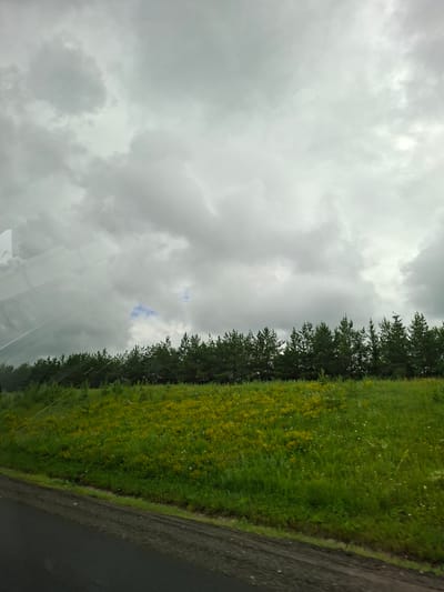An overcast sky dominates the upper portion of the image, with dramatic, heavy gray clouds filling most of the frame. A sliver of blue sky is visible through a gap in the clouds in the distance, just above the treeline. Below the sky is a dense line of dark green coniferous trees, forming a natural border across the midground. In front of the trees, a grassy hillside slopes upwards. The grass is a vibrant green and dotted with numerous small yellow wildflowers and some white specks, likely other small flowers. The lower left of the image shows a dark, unpaved road or shoulder, with a rough texture and some scattered debris. The overall scene suggests a rural or roadside environment in Lesnye Morkvashi, Russia, under a cloudy sky.