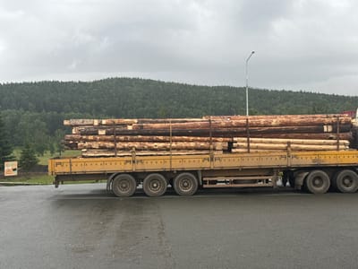 A side view of a yellow flatbed truck loaded with logs is visible on a wet, paved road. The truck has multiple axles with wheels. In the background, a dense, green, forested hill rises under a cloudy sky. A single street lamp is visible against the sky. A sign with Russian text is partially visible to the left of the truck, near a few trees. The overall environment appears to be rural or on the outskirts of a town, with the wet road suggesting recent or ongoing precipitation. The location is Inzer, Russia.