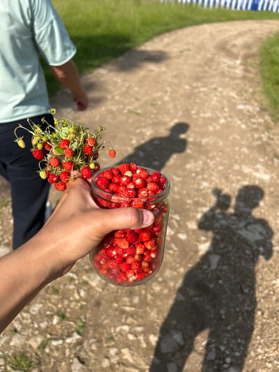 A person's hand is holding a glass jar filled with wild strawberries. In the background, another person walks away from the camera, wearing a light blue t-shirt and dark pants. The ground is a dirt path with scattered rocks and patches of grass. Shadows of at least two people are visible on the path. A white and blue fence is visible in the distance to the right. The scene appears to be an outdoor environment, possibly a rural area or park. The overall impression is one of a sunny day with activity.