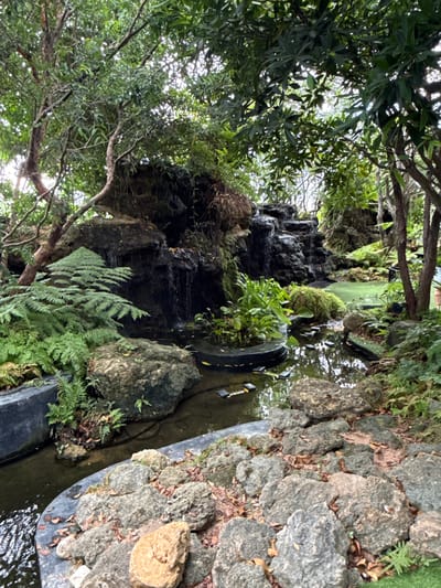 The image depicts a tranquil garden scene, likely in Ban Na Chom Thian, Thailand, featuring a man-made waterfall cascading over dark rocks into a shallow pool. Lush green ferns and various plants surround the water feature, with moss growing on some of the rocks. A path of stepping stones crosses the water. The foreground is filled with large, grey and tan rocks, some covered with fallen leaves. Trees with dense foliage canopy overhead, filtering the sunlight and creating a shaded, serene atmosphere. There are no people visible in the image.