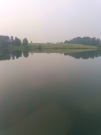 The image depicts a hazy, overcast day over a calm body of water. The water reflects the muted colors of the sky and the distant treeline. In the background, a gentle slope of green grass is visible, dotted with trees. The overall impression is one of tranquility and natural beauty, perhaps a park or a recreational area. The image does not provide any specific landmarks or context that would pinpoint its location to the city of Toguchin, Russia.