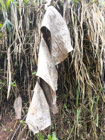 A close-up shows a decaying scene. The focal point is a large, beige, withered leaf hanging vertically. Behind it, a dense thicket of dried, light-brown grass-like stems creates a textured backdrop. Patches of dark, moist soil and sporadic green vegetation are visible. The overall impression is one of decomposition and the transition between seasons.