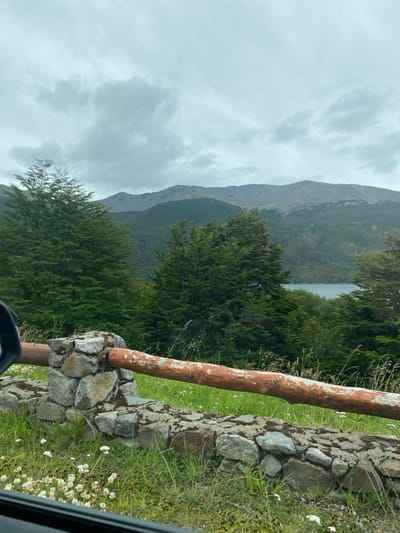 A landscape with a mountainous backdrop under a cloudy sky. Lush green trees frame the scene with a glimpse of a body of water behind them. In the foreground, a weathered, orange-toned wooden pole is secured with stacked stones along a grassy area with small white flowers. The viewpoint is low, possibly from inside a vehicle.