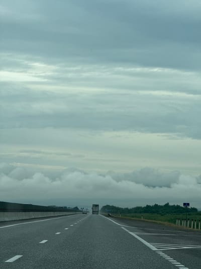 The image depicts a highway scene on an overcast day. A two-lane asphalt road stretches into the distance, marked with white dashed and solid lines. On the left side of the road, a grey concrete barrier separates the highway from what appears to be a grassy shoulder. On the right side, a row of white posts with red reflectors lines the edge of the road, and beyond that, a dense green treeline is visible. In the distance, several vehicles are present on the highway, including a large truck and a car. The sky is filled with thick, grey clouds, creating a diffused light. A blue sign with white text indicating "4 BOGORODSKOE" is visible on the right side of the road. The location is identified as Kochubeyevskoye, Russia.