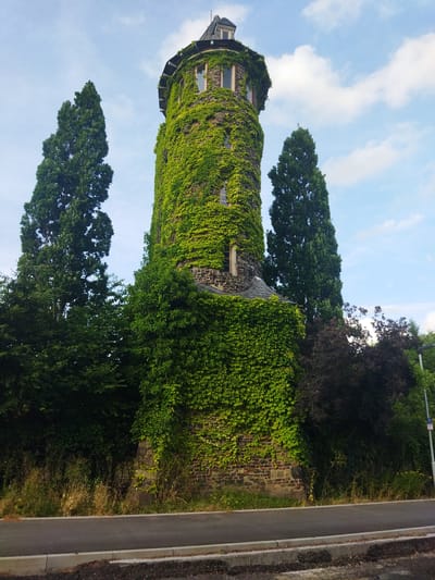 The image shows a tall, round stone tower covered in dense green ivy, located in Monheim am Rhein, Germany. The tower has several arched windows and a dark, sloping roof with a dormer window. Two tall, slender evergreen trees stand on either side of the tower, with lush green foliage and some darker trees behind them. The tower is situated next to a paved road with a sidewalk and curb. The sky above is blue with scattered white clouds. The overall scene depicts a historical building integrated into a natural landscape, possibly a park or a garden area.