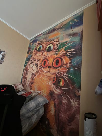 The image shows a bedroom interior. A wall mural featuring a surreal depiction of multiple cat faces dominates the scene. The mural's style is painterly, with visible brushstrokes and a mix of colors including orange, brown, blue, and green. A section of the room's wall and ceiling is visible, painted in neutral tones. In the lower portion of the frame, a gaming chair is present, with its back and seat in view. Several pillows with patterned fabrics are stacked near the chair. At the top of the image, there is a rolled-up item, potentially bedding or clothing, and a cylindrical object that could be a diffuser. The image was taken in the city of Shul'gino, Russia.