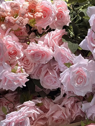 The image shows a close-up view of a dense arrangement of pink roses and some greenery. The roses vary in shade from light to medium pink. No location information is discernible from the image.