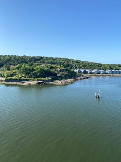This is an aerial, landscape-oriented photograph of a coastal area in Gothenburg, Sweden. The scene is divided into two main sections: a lush green, rocky coastline on the left, and a calm body of water on the right.

The coastline is densely forested with deciduous trees, suggesting it is summer. A winding path or road is visible along the edge of the water, with several small, rocky outcrops. Several modern, light-colored houses with dark roofs are built in a line along the top of the coastal hill, overlooking the water. Below these houses, closer to the water's edge, are a few older, more rustic buildings, including a small yellow structure with a red roof. Scattered throughout the coastline are large rocks and trees.

In the water, there are two weathered wooden posts sticking out of the sea, possibly remnants of an old pier or structure. A small, light-colored boat is also visible in the water, near the coastline. The water itself appears green and has gentle ripples.

The sky is clear and a vibrant blue, indicating a sunny day. The lighting suggests it is daytime, likely late morning or early afternoon, with the sun casting shadows. The overall mood is peaceful and serene, typical of a summer day in a coastal region. There is no visible text in the image.