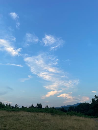 The image depicts a landscape scene with a vast expanse of blue sky dominating the upper portion. Wispy white clouds are scattered across the sky, some catching the warm hues of sunset. A hint of mountains is visible in the distance, their silhouettes softened by the fading light.
The lower part of the image features a line of dark green trees forming a dense border along the edge of a dry, grassy field. The field is a muted golden-brown, suggesting it might be late summer or early autumn. The orientation of the image is such that the sky is on the left and the ground is on the right, implying the photo was taken with the camera rotated.
The lighting indicates that it is likely dusk or late afternoon, as suggested by the soft, warm tones in the clouds and the gentle transition of light across the sky. The weather appears clear and calm, with only scattered clouds. There are no people or specific objects in the frame, focusing entirely on the natural landscape. The location context provided is Rokosovo, Ukraine. There is no visible text in the image.
