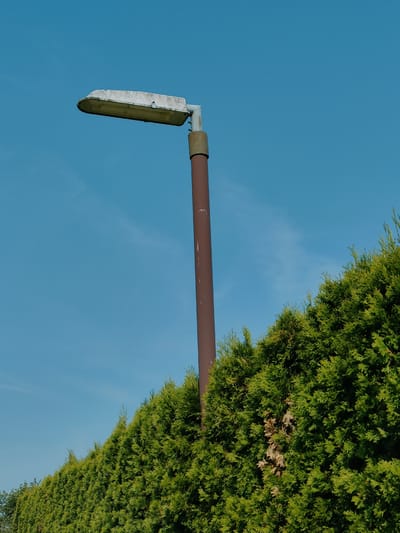 The image shows a close-up of a street lamp against a clear blue sky. The lamp is an older model with a weathered, white casing and a brown pole. It is positioned in the upper left quadrant of the image, extending horizontally. A dense, green hedge forms the lower portion of the frame, with its foliage occupying the right and bottom sections. The hedge appears to be well-maintained and is likely a boundary or screen. The overall setting is outdoors, suggesting a public space such as a park, garden, or street in Murska Sobota, Slovenia. There are no people or any discernible activity in the image. The lighting suggests it is daytime, with the sun likely to be high in the sky, casting no significant shadows. The image is framed in a way that emphasizes the contrast between the man-made structure of the lamp and the natural element of the hedge, set against the vastness of the sky.