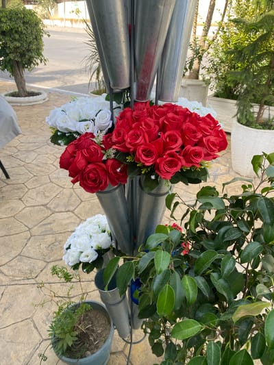 The image depicts an outdoor scene in Sidi Moussa, Algeria, featuring a floral display arranged in metallic cones attached to a stand. Two prominent bouquets of artificial roses are visible: one primarily red, positioned in the upper section of the stand, and another of white roses below it. A smaller bouquet of white roses is also visible further down. The floral arrangement is situated on a textured, light-brown tiled surface. In the background, a street is visible with trees and buildings, suggesting an urban or suburban environment. Lush green foliage from potted plants frames the right and lower portions of the image, with a smaller plant in a gray pot located in the lower left quadrant. The lighting indicates daytime. There are no visible people in the scene.