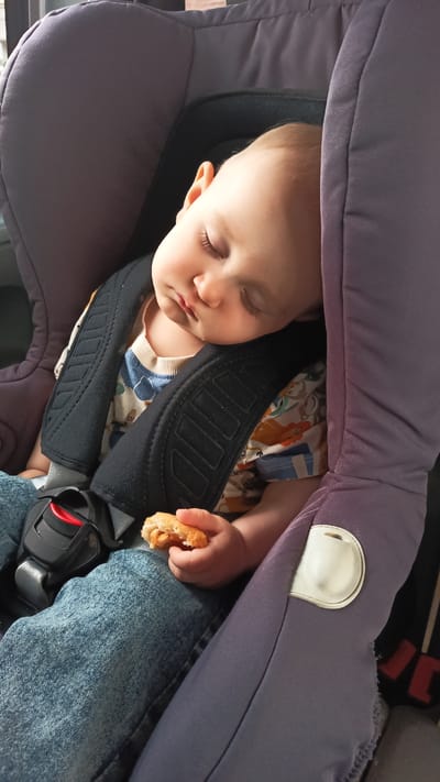 A baby is sleeping in a car seat. The baby's head is resting on the side of the car seat. The baby is holding a piece of food in its hand. The baby is wearing a blue and white shirt and blue jeans. The car seat is purple. The scene is illuminated by natural light. The image was taken in Altdorf bei Nürnberg, Germany.