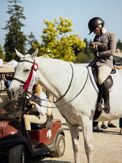 An outdoor equestrian scene is depicted under a clear sky at Thornhill Equestrian Park in Maple Ridge, British Columbia, Canada. In the foreground, a light grey horse stands calmly, adorned with a dark bridle, a brown saddle with a white fleece pad, and a red and white ribbon displaying "50 Third C" attached to its bridle. Seated on the horse is a rider wearing a black helmet, a grey equestrian show coat, light-colored breeches, and black tall riding boots. The rider, wearing dark gloves, looks down and gently cradles a small, short-haired brindle-colored dog, possibly a Dachshund, in their arms. To the left of the horse, a dark red golf cart is partially visible, featuring a horse head logo and the partial text "THORNHILL EQUESTRIAN PARK" on its side. A second individual with blonde, curly hair is seated in the driver's seat of the golf cart, wearing a light-colored long-sleeved shirt and light pants. The ground is a light-colored arena surface. In the background, tall coniferous and bright green deciduous trees are visible, along with parts of white tents or temporary structures and the lower legs of other individuals.