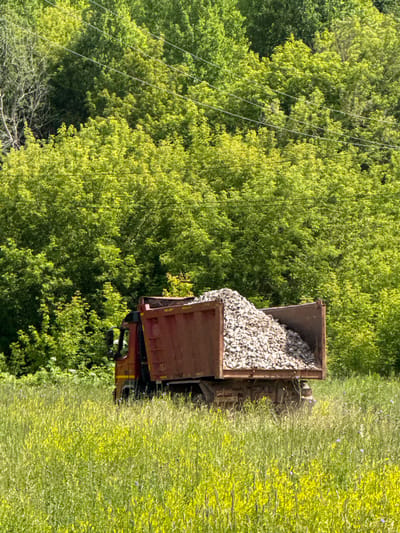 A rusty red dump truck is parked in a grassy field with a dense green forest in the background. The truck is filled with a large pile of grey gravel. The field is covered in tall green grass with some yellow flowers scattered throughout. The forest behind the truck is lush and appears to be deciduous trees in full leaf. A few power lines are visible strung across the top of the forest. The scene appears to be a rural or undeveloped area, possibly on the outskirts of Malmyzh, Russia. There are no people visible in the image. The lighting suggests it is daytime, likely sunny.