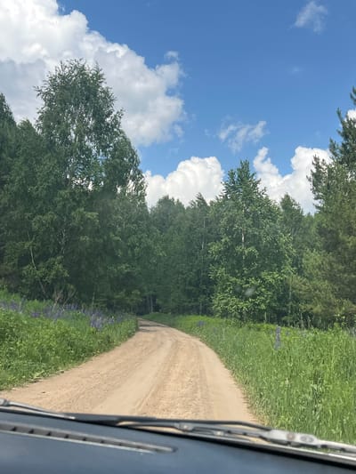 A dirt road curves through a lush green forest under a bright blue sky with scattered white clouds. The road is flanked by tall trees and tall green grass, with patches of purple lupine flowers visible along the left side. In the foreground, the windshield wipers of a vehicle are visible, suggesting the image was taken from inside a car. The scene appears to be in a rural or natural setting, possibly a forest path or country road.