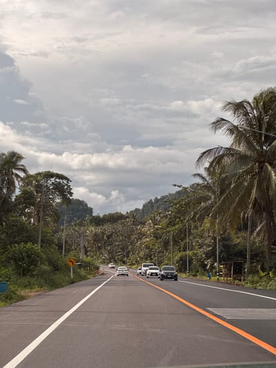 The image depicts a scenic view of a two-lane road winding through a tropical landscape, likely in or near Ban Thung Aok, Thailand. The road is asphalt with white and orange lane markings. On the left side, there is a grassy shoulder with a yellow road sign indicating a curve to the left and lush green vegetation, including palm trees and other tropical foliage. Several utility poles with wires are visible along the roadside. On the right side of the road, more palm trees and dense green forest line the route, with a small wooden structure or shelter visible in the distance. A line of cars, including white sedans and a dark-colored SUV, are traveling on the road, moving away from the viewer. The sky is overcast with dramatic, grey clouds, suggesting a possibly humid or approaching rainy day. The overall impression is one of a journey through a verdant and possibly remote tropical region.