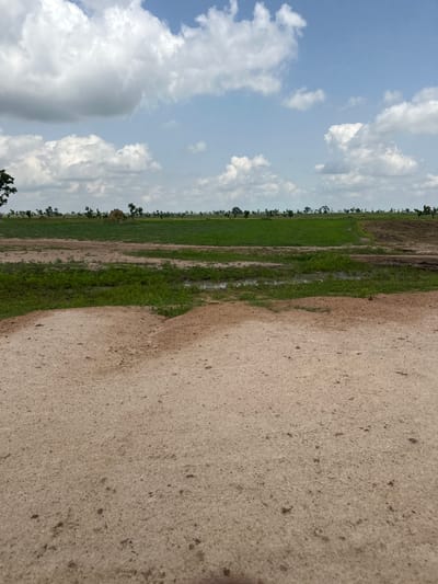 A ground-level, full shot captures a landscape in Garin Dogo, Nigeria, dominated by a vast expanse of sky and open fields. The foreground is a textured, light brown, sandy surface. Beyond this, a strip of green grass transitions into a cultivated field of vibrant green crops. A narrow, wet, muddy channel runs horizontally through the middle ground. In the distance, a line of scattered trees and a small conical mound break the flat horizon. The sky above is a clear blue, adorned with numerous fluffy white clouds.