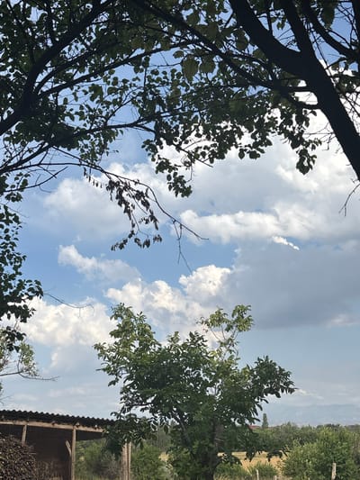 The image depicts an outdoor scene with a focus on the sky and tree foliage. In the foreground, several trees with green leaves are visible, with branches extending across the frame. The sky is a mix of blue and white clouds, with some appearing more dense and others wispy. The lighting suggests it is daytime, possibly late morning or early afternoon.

In the middle ground, a rustic structure with a corrugated roof is partially visible. To the left of this structure, a pile of wood or branches is stacked. Beyond the structure, there is a landscape with green trees and vegetation, and in the far distance, hills or mountains are faintly visible under a hazy sky.

The location is identified as Жібек жолы ауылдық округі, Kazakhstan. The scene appears to be in a rural or semi-rural area. There are no people or animals visible in the image. The overall impression is one of a natural, tranquil outdoor environment.