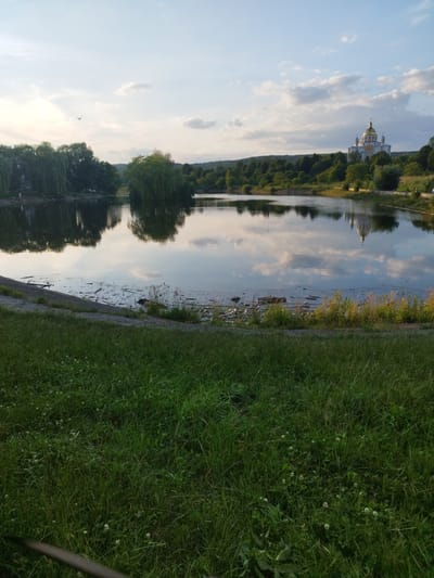 The image captures a serene landscape scene, likely on the outskirts of Novyi Rozdil, Ukraine, featuring a tranquil lake reflecting a soft, overcast sky and surrounding greenery. In the distance, a prominent building with golden domes, resembling a church or monastery, stands atop a tree-covered hill on the right side of the frame. The lake's surface is calm, disturbed only by ripples and a scattering of debris along its edge, including branches and what appears to be plastic waste. The foreground is dominated by lush, green grass, some of which is visibly overgrown and interspersed with small white flowers. Willow trees with their characteristic drooping branches line the far bank of the lake, contributing to the picturesque setting. A single bird is captured in flight in the upper left quadrant of the sky. The overall impression is one of natural beauty slightly marred by man-made pollution along the water's edge.