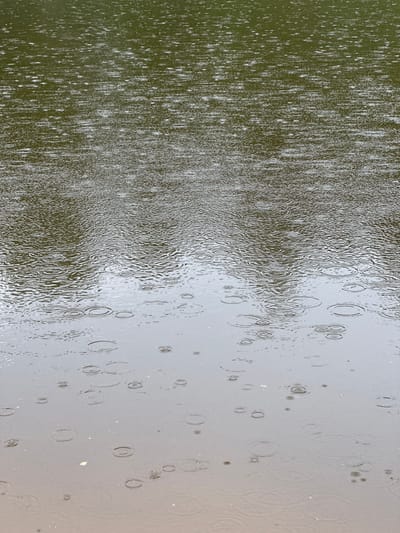 This image captures a close-up view of raindrops hitting a surface, creating ripples. The left side of the image shows a darker, greenish area with numerous streaks and splashes, suggesting a denser concentration of rain or a different texture of the surface underneath. As the view moves to the right, the surface becomes lighter and smoother, with distinct circular ripples spreading outwards from where raindrops have landed. These ripples are more spaced out and clearly visible against the lighter background, which appears to be reflecting the sky. There are no people or man-made objects visible. The overall impression is one of a calm, yet active natural event. The weather is clearly rainy, and the lighting suggests it could be daytime, possibly overcast given the diffused light. The texture of the surface changes from rough and dark to smooth and light, with the most notable detail being the pattern of the raindrops on the water. There is no visible text in the image.