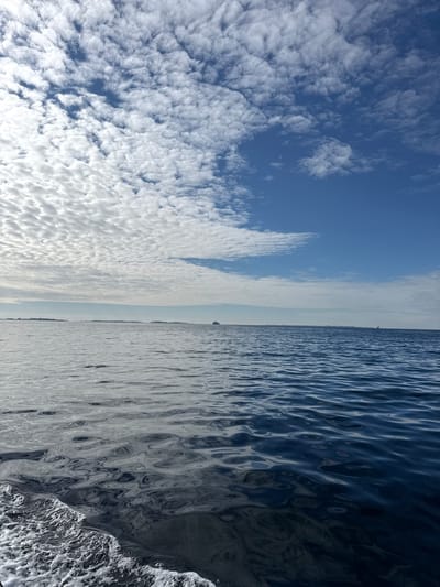 The image displays a split scene with the sky on the left and the sea on the right, oriented vertically. The left side is dominated by a bright blue sky filled with a dense layer of fluffy, white clouds. The clouds are textured and scattered, creating a dynamic pattern against the blue.
The right side of the image features the dark blue, choppy surface of the sea. The water's surface is heavily rippled, reflecting the light and creating a textured, almost abstract pattern of light and shadow. In the distance, along the horizon where the sky meets the sea, a faint outline of land or a very distant object is visible. Two small, dark silhouettes of what appear to be boats or ships are positioned on the horizon line.
The overall impression is of an outdoor scene, likely taken from a boat or near the water's edge. The bright sky suggests it is daytime, likely late morning or early afternoon, with good weather characterized by a clear sky and scattered clouds. The location is Hellesøy, Norway. No text is visible in the image. The scene evokes a sense of vastness and the power of nature, with the contrast between the light sky and the dark, active sea.