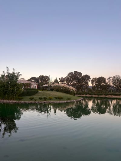 A tranquil scene with a body of water mirroring the landscape. Lush greenery lines the water's edge, including trees and manicured lawns. A house nestles among the vegetation. The sky transitions from a pale blue to a hint of sunset hues near the horizon. The water surface reflects the trees and plants, creating a layered and symmetrical composition.