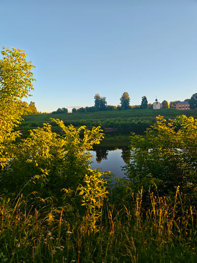 This is a vertical, eye-level, outdoor photograph taken during golden hour. The scene depicts a riverbank in the SNT Vodnik, Russia, with lush vegetation in the foreground and a gentle slope rising behind the river. The river itself is calm and reflects the sky and surrounding trees.
In the mid-ground, a green hill is dotted with trees and a small white building with a dome, likely a church, and a larger, light-colored residential building. The sun, low in the sky, illuminates the foliage on the left and right sides of the frame with a warm, golden light, creating a strong contrast between the lit and shadowed areas. The sky is a clear, pale blue. The foreground is densely populated with tall grasses and various plants, some of which are backlit by the setting sun. The overall atmosphere is serene and natural. There are no people visible in the image.