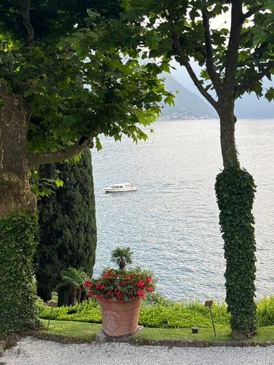 This is a telephoto shot of a picturesque lakeside scene in Tremezzina, Italy, likely taken from a garden or terrace. In the foreground, two large trees flank the view, their trunks covered in ivy and their branches adorned with lush green leaves. To the left, a massive terracotta pot overflows with vibrant red flowers, some small palm trees visible behind it. The middle ground opens up to a tranquil blue lake, its surface rippled by a gentle breeze. A white motorboat with a dark stripe cruises leisurely across the water. In the distance, a hazy hillside dotted with buildings rises from the far shore of the lake, hinting at the charming towns of Tremezzina. The overall ambiance is serene and inviting, evoking the beauty of the Italian lakes.