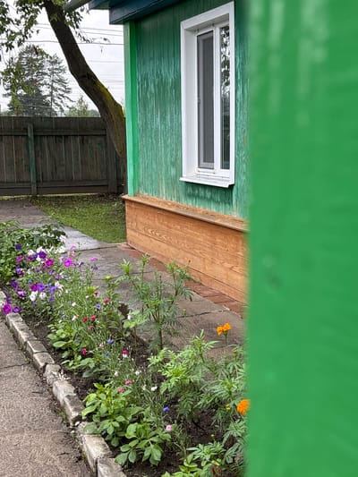 The image shows a close-up view of a green wooden house with a white-framed window and a wooden foundation. In front of the house, there is a flowerbed with various colorful flowers, including purple, pink, white, and blue. A concrete path runs alongside the flowerbed. A wooden fence and a tree are visible in the background. The location is the city of Gonja, Russia.