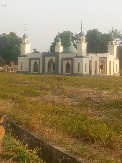 The image displays a newly built mosque situated in an open, grassy area in Nunku, Nigeria. The mosque is a light-colored, likely cream or pale yellow, structure with prominent dark grey or blue-grey trim around its arched windows and doorways, and along the roofline. It features a large central dome and four smaller domes, each surmounting a minaret, all topped with crescent moon finials. The architectural style includes numerous arched openings, contributing to a modern yet traditional aesthetic.
The building appears well-maintained, suggesting recent construction or renovation. A single, indistinct figure can be seen near one of the central arched entrances of the mosque, while in the far left background, several small figures, possibly people or children, are visible near what seems to be piled construction materials.
The foreground is dominated by dry, sparse grass and a concrete curb or low barrier along the left side. A light brown animal, possibly a dog or goat, is partially visible behind this curb on the far left. Lush green trees frame the background behind the mosque. The scene is illuminated by natural light, suggesting it is daytime, possibly morning or late afternoon, under a clear sky. No specific activity or event is clearly taking place, and no text is visible.
