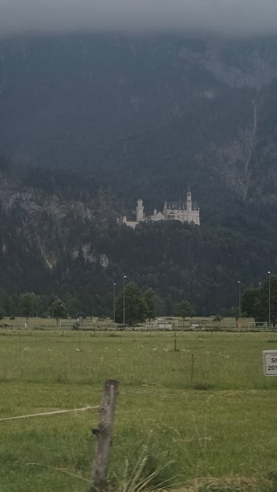 A wide shot captures the Neuschwanstein Castle, perched on a forested hill against a backdrop of dark, misty mountains. The castle, a pale structure with turrets and spires, is the focal point in the upper center of the image. Below the castle, a dense green forest covers the hillside, with some bare rock faces visible. In the foreground, a green field stretches out, dotted with wildflowers and a few scattered trees. Several white soccer fields with goals are visible in the middle ground, separated by thin fences. A weathered wooden post stands prominently in the lower left corner, with a wire fence extending horizontally across the frame. A small white sign with some text is visible on the right side of the image, partially obscured by the grass. The overall atmosphere is subdued, with a cloudy sky and soft, diffused light.