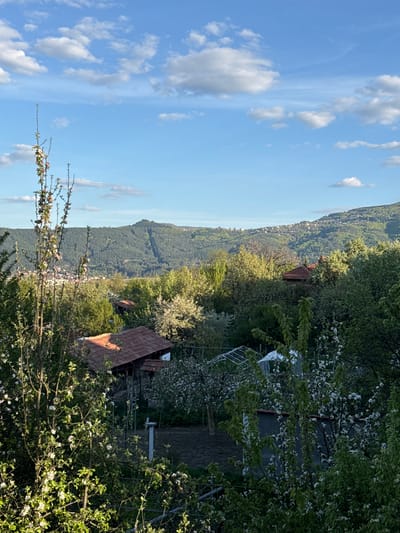 The image depicts a landscape scene in Lozno, Bulgaria. It features a hillside view with a cluster of houses with red-tiled roofs among lush greenery. The foreground is filled with flowering trees. In the background, a blue sky with scattered clouds is visible. The general impression is one of a rural setting, and the presence of flowering trees indicates the image was likely taken during the spring. A laundry rack is also visible between houses.