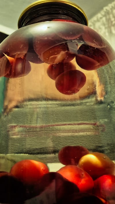 The image shows a close-up, low-angle view of a glass jar filled with plums, submerged in a dark liquid. The jar has a gold-colored metal lid. Plums are visible both near the top, appearing to float, and at the bottom of the jar, partially obscured. The liquid inside the jar has a deep reddish-brown hue, suggesting it is infused with the plums. The background is out of focus and appears to be a textured, greenish-grey surface, possibly fabric or a wall. The lighting creates highlights on the plums and the glass, giving the scene a glossy, somewhat reflective quality. The image is taken indoors, and no specific location in Troițcoe, Moldova, can be identified from the visual information provided.