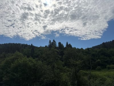 This is a landscape photograph taken in Oryava, Ukraine, on a bright, partly cloudy day. The image depicts a dense, undulating forest canopy that covers the foreground and midground. The trees are predominantly shades of dark green, with some lighter green foliage visible, suggesting deciduous and coniferous trees. The forest extends up a hillside towards the horizon. Above the treeline, a bright blue sky is filled with a vast expanse of fluffy, white altocumulus clouds, which appear textured and somewhat chaotic. Sunlight filters through gaps in the clouds, creating bright patches in the sky. The overall scene evokes a natural, somewhat wild environment, typical of a mountainous or hilly forested region. There are no people or man-made structures visible in the image.