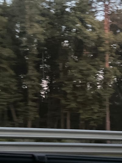 This is a motion blurred image of a forest with a road barrier in the foreground. The trees are dark green and appear tall and dense, suggesting a natural landscape. The blur indicates the photo was taken from a moving vehicle. The lower part of the image shows a multi-layered road barrier, likely a guardrail or similar safety feature. The image does not provide enough detail to confirm the specific location within Usovo, Russia.
