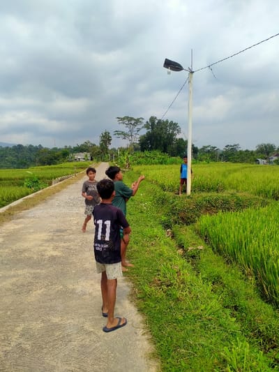 Four boys stand on a concrete road beside a vibrant green rice field under a cloudy sky. Three are gathered in the foreground, one wearing a shirt with the number 11 on it. Another boy stands near a tall, white utility pole further down the road. The landscape features rice paddies extending into the distance, bordered by lush green vegetation and scattered trees. Hills rise in the background under the overcast sky.