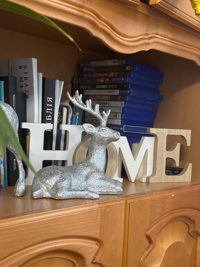 This image depicts a close-up, eye-level view of a wooden shelf in what appears to be a home environment. The shelf is filled with various items. On the left side, a stack of books with visible spines in Ukrainian and English is present, partially obscured by a silver glittered deer figurine. The books have titles that are difficult to fully discern but include what appears to be "БІБЛІЯ" (Bible). To the right of the books, a white, three-dimensional letter "H" stands, followed by a white, three-dimensional letter "M", and a wooden, three-dimensional letter "E". These letters together spell out "HOME". A second silver glittered deer figurine is positioned in front of the "M" and "E" letters, facing to the right. Behind the "HOME" letters, a stack of blue PlayStation game cases is visible. The background is a light brown wooden surface, likely the back of the shelf. The foreground shows the top surface of a wooden cabinet or dresser, with decorative curved molding. There are no people visible in the image. The scene is indoors, suggesting a domestic setting. The specific location of Bad Blankenburg, Germany, is not identifiable from the visual information presented in the image.