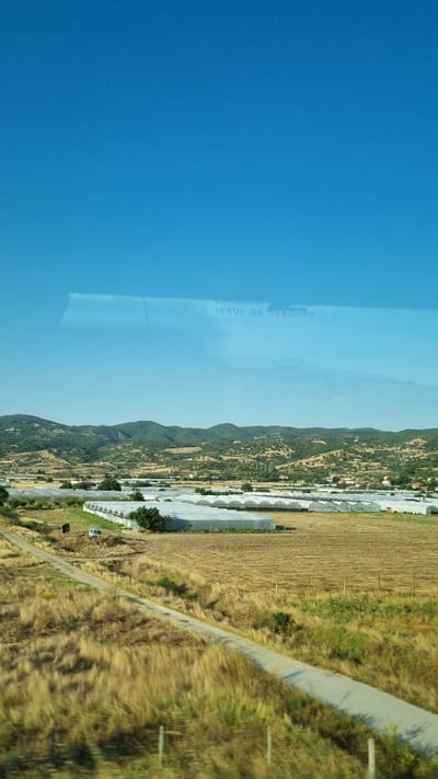 The image depicts a rural landscape under a clear blue sky. In the foreground, a dry, grassy field is crossed by a dirt road. In the middle ground, a collection of greenhouses with white covers is spread across a flat area. Beyond the greenhouses, rolling hills covered in trees and vegetation rise, with a few scattered buildings visible amongst them. The distant background is dominated by more of these green, treed hills. The scene appears to be located in the vicinity of Mikrevo, Bulgaria, given the agricultural nature of the land with numerous greenhouses. There are no people or animals visible in the image. The overall impression is one of agricultural activity in a Mediterranean or semi-arid environment.