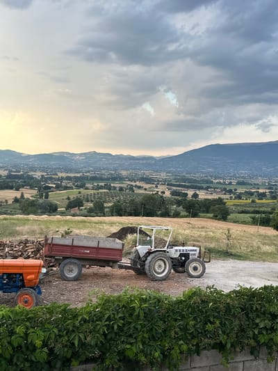 The image shows a pastoral scene in Cannara, Italy, with two tractors and a trailer parked on a dirt road. A large pile of chopped wood is to the left of an orange tractor. A white tractor is hitched to a red trailer, which is filled with soil. In the background, a valley unfolds with rolling hills, cultivated fields, and scattered trees. Mountains form the distant horizon under a cloudy sky. Lush green foliage lines the bottom of the frame, in front of a low stone wall.