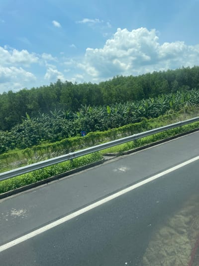 The image shows a view from a vehicle traveling on a highway, looking out towards lush green vegetation and the sky. The scene is oriented vertically, suggesting the photo was taken with the phone held sideways.
The dominant subjects are the dense green foliage, consisting of trees and possibly banana plants, which line the side of the highway. A metal guardrail separates the road from the greenery. The road itself is dark asphalt with a white line marking a lane. In the distance, within the vegetation, a small, bright blue object is visible, possibly a sign or marker. The sky above is a bright blue with large, fluffy white clouds, indicating fair weather. The sunlight suggests it is daytime, likely mid-morning or afternoon.
The overall impression is one of a journey through a rural or semi-rural area with abundant plant life, characteristic of a tropical or subtropical region. The smooth, grey asphalt and white line indicate a well-maintained road, typical of a highway. No specific activity is captured, other than the implied motion of travel. The image conveys a sense of openness and the natural beauty of the landscape.
The provided location context, Dong Nai City, Vietnam, aligns with the visual cues of a tropical environment with extensive greenery and possibly the type of road infrastructure depicted. No legible text is visible in the image.