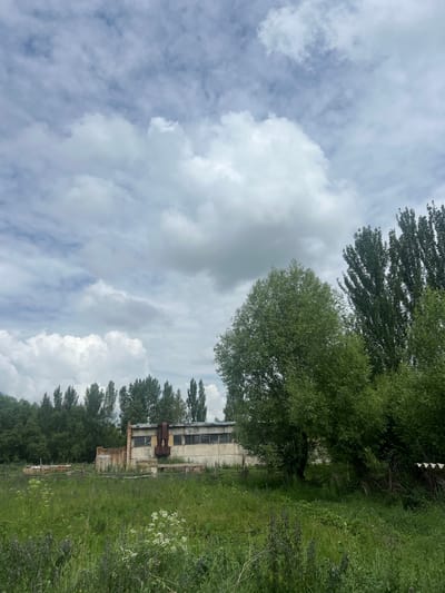 The image depicts a somewhat overgrown rural landscape with an abandoned industrial-style building in the background. The building is light-colored, possibly concrete or stucco, with dark-paned windows and visible metal pipes or ducts on its exterior. Adjacent to the building, to its left, are stacks of lumber. The foreground is dominated by tall green grass and various wildflowers, some of which are white and purple. A rustic wooden fence runs along the perimeter of the property in front of the building. Tall trees, some appearing to be poplars due to their slender, upright form, are visible behind the building and to the right. The sky is overcast with a mix of gray and white clouds. The overall impression is one of disuse and natural reclamation. The scene is located in the city of Karakol, Kyrgyzstan.