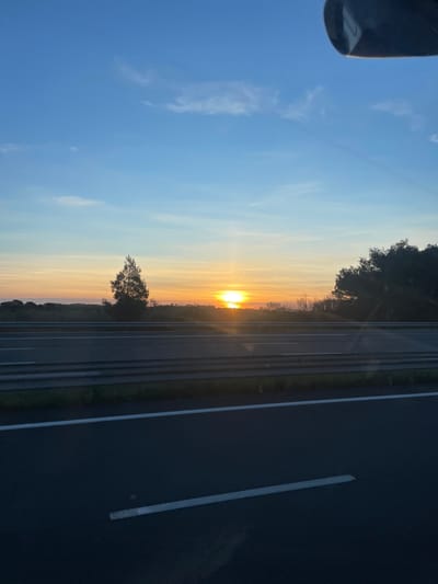 A multi-lane asphalt highway is observed under either sunrise or sunset conditions near Portel-des-Corbières, France. The horizon features a prominent, brilliant orange sun, located slightly right of the frame's vertical midline, radiating light across the lower sky which transitions from yellow-orange near the sun to clear blue with sparse white cirrus clouds at the top. The foreground consists of dark asphalt with two parallel white lane markings extending from the bottom edge. Above these lanes, a silver-colored three-bar guardrail runs horizontally across the midground. Behind the guardrail, a strip of green vegetation precedes a distant treeline composed of dark, mostly deciduous trees. A singular, tall, slender conifer stands silhouetted against the bright horizon to the left of the sun. A dark, curved object, consistent with a vehicle's interior component such as a rearview mirror housing, intrudes into the upper right corner of the frame. No human figures or additional vehicles are present.