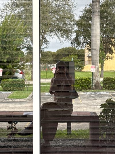 A reflection in a window with blinds shows a person with their face partially obscured by the blinds. The background reveals trees, grass, and a palm tree on a sunny day. A road or parking lot is visible with signs. The image is split by a white frame, showing a similar outdoor scene with different angles of trees and vegetation. The overall impression is a blend of indoor and outdoor elements through the reflective surface.