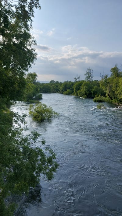 This is a wide-angle, vertical shot of a flowing river in Severnye Koryaki, Russia. The river is the central subject, with lush green trees lining both banks. The water has a rippling surface, suggesting a moderate current. In the middle of the river, a small cluster of trees is submerged. The sky is partly cloudy, with a mix of light and dark clouds, and a hint of mountains can be seen in the distance. The overall scene evokes a natural, serene landscape. There are no people visible in the image.