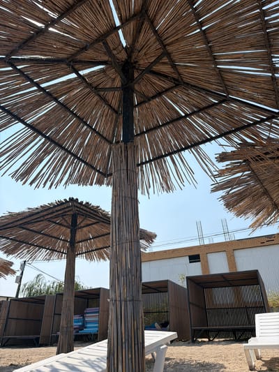 This is a low-angle, full shot of a beach resort in Pavlo-Ochakovo, Russia, on a sunny day. The foreground is dominated by a large, rustic thatched umbrella, constructed from thin reeds bound to a dark wooden frame. The umbrella's pole, also made of bundled reeds, stands tall in the center. To the left and right, more thatched umbrellas are partially visible. Behind the umbrellas, a row of open-air cabanas with wooden siding and dark metal frames line the sandy beach. Inside the cabanas, lounge chairs with striped cushions are visible. In the background, a partially constructed building with brick and white siding, along with scaffolding, suggests ongoing development. The sky is clear and blue, with a few wisps of clouds. The overall scene depicts a tranquil, yet developing, beachfront leisure area.