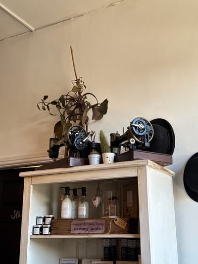 The image displays an interior scene, specifically the upper portion of a distressed white wooden display cabinet positioned against a light-colored wall, indicative of a retail or hospitality establishment in Ambleside, United Kingdom, given the "LAKELAND" branding visible on products. No individuals are present.

On the cabinet's top surface, from left to right: a tall, multi-stemmed plant with dark leaves, supported by a wooden stake; an antique black sewing machine on a dark wooden base; a small cactus in a white pot featuring a stylized face; a second antique black sewing machine on a dark wooden base; and a black bowler hat leaning against the wall, with a second hat partially visible below it.

The visible shelf directly below the top surface holds various retail products. On the left, four small jars with dark lids are arranged, each labeled "LAKELAND." Centered on the shelf, a wooden crate contains three white bottles with black pump dispensers, also labeled "LAKELAND." A brown tag attached to the crate reads "English Lavender / Tinsley Farms, Lincolnshire." To the right, decorative items include a hanging white heart with red spots and a glass cloche containing a small object. A brown tag with handwritten text, including "LADY BUGS SOLE," is also present.

The wall above the cabinet is plain and light-colored. A dark door frame is visible on the far left, featuring faint white lettering that begins with "Sta." The ceiling is light, with a visible seam where it meets the wall.