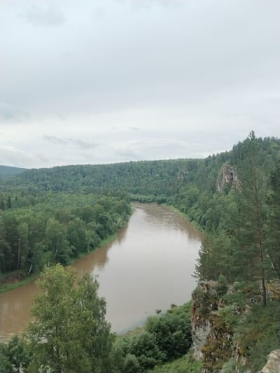 This is an aerial, medium-distance, eye-level, full shot of a wide, muddy river flowing through a densely forested valley under a cloudy sky. The river bends to the left in the foreground, with its banks lined by lush green trees, including deciduous and coniferous varieties. Rocky outcrops, covered in vegetation, are visible on the right bank, with one featuring a cave-like opening. The distant landscape is a rolling expanse of green forest reaching to the horizon. The location is identified as being in the city of Al'kino, Russia, a place known for its natural beauty and surrounding forests. There are no people or animals present in the scene.