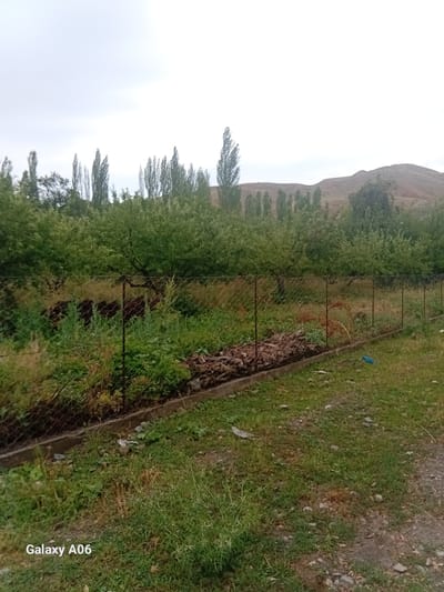 The image depicts a rural scene likely in Kojo-Aryk, Kyrgyzstan, characterized by overgrown vegetation and a rustic fence. A chain-link fence, supported by metal posts, runs horizontally across the middle ground, enclosing an area with dense green foliage and some brown debris. Beyond the fence, a line of tall, slender trees stands against a backdrop of rolling, barren hills under an overcast sky. The foreground consists of patchy green grass and dirt, with a small blue object visible near the fence on the right. The overall impression is one of a natural, untamed environment.
